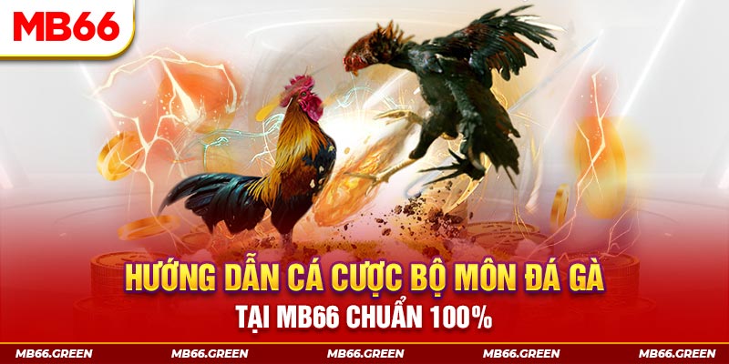 casio 880 xổ số bình định