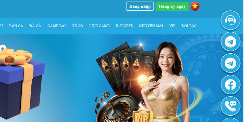 casio 880 slot là gì dịch