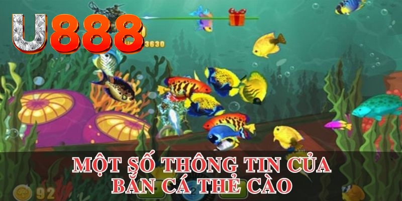 casio 880 đăng nhập lô đề rút tiền nhanh