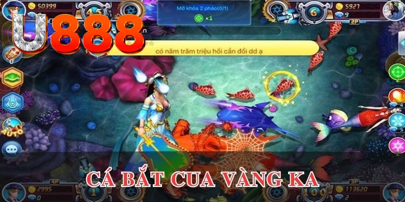 casio 880 đăng nhập phỏm uy tín
