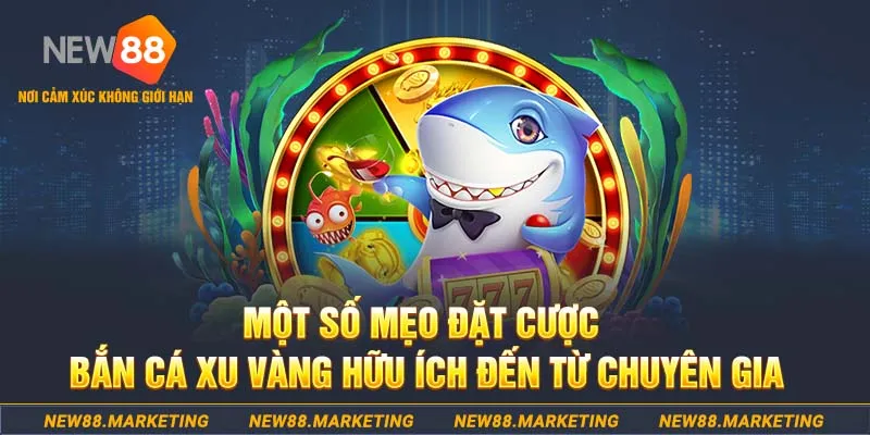 casio 880 what is a casino deposit bonus