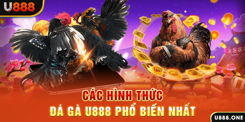 casio 880 DB Trực Tuyến