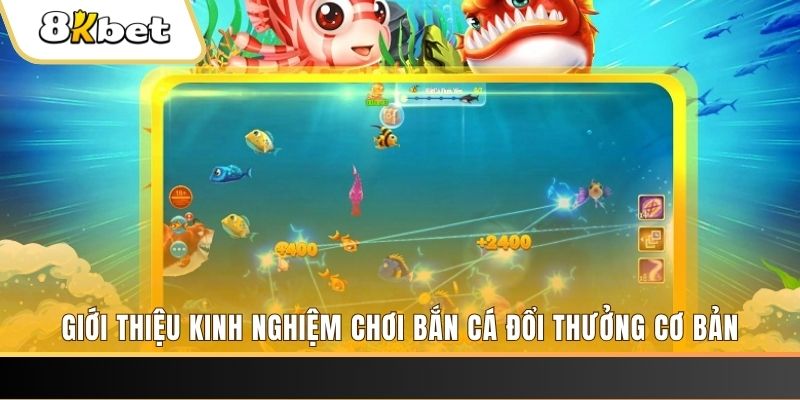 casio 880 xổ số miền bắc thứ năm hàng tuần