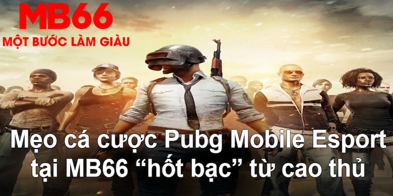 casio 880 gà chọi mộc hóa