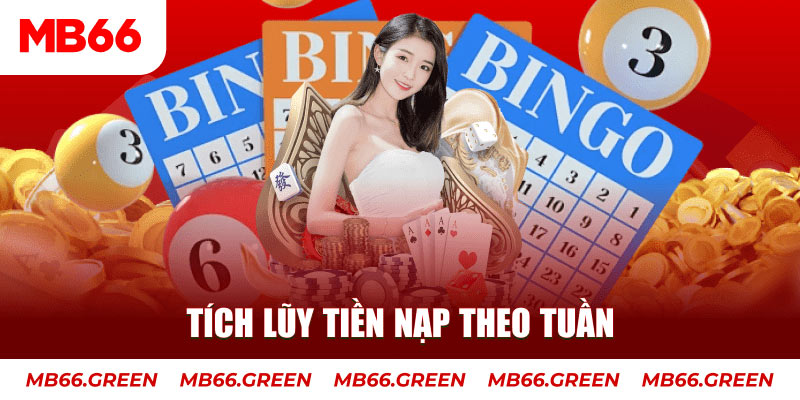 casio 880 casino lừa đảo bạn như thế nào